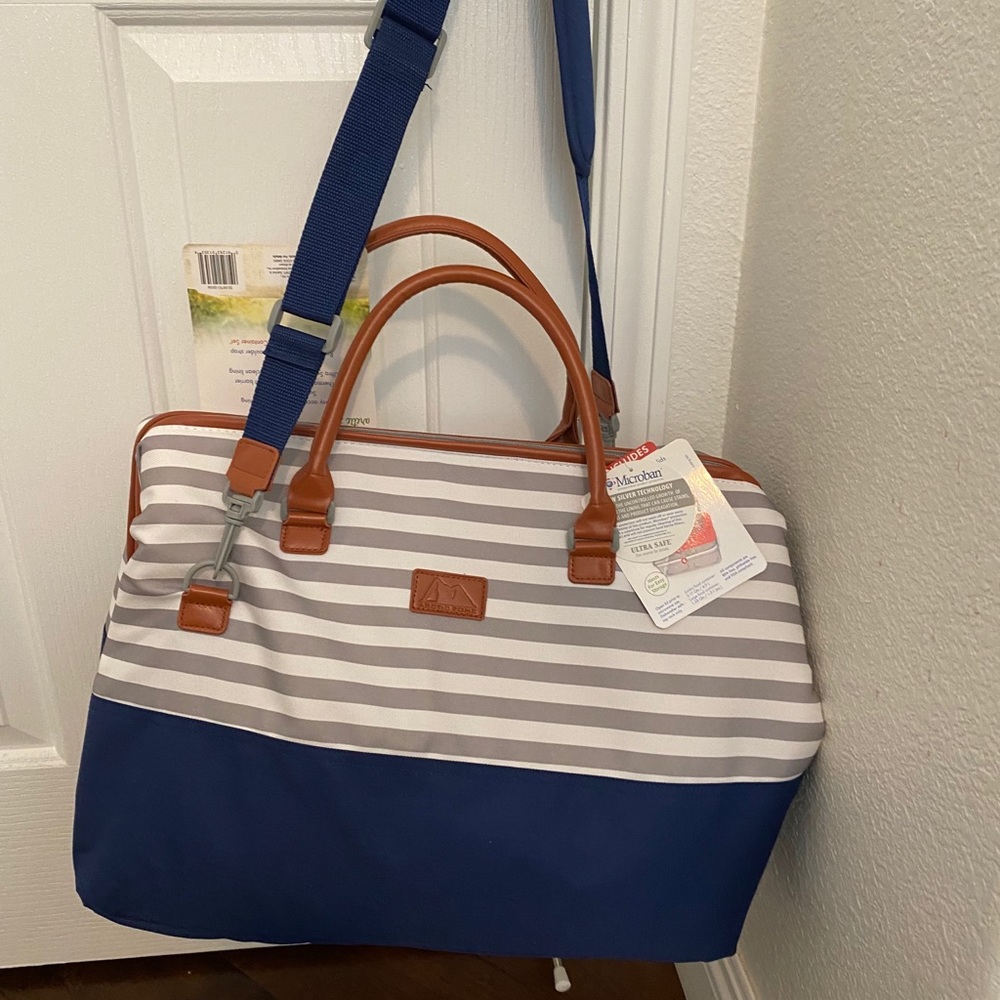 Arctic Zone Insulate Picnic Satchel
